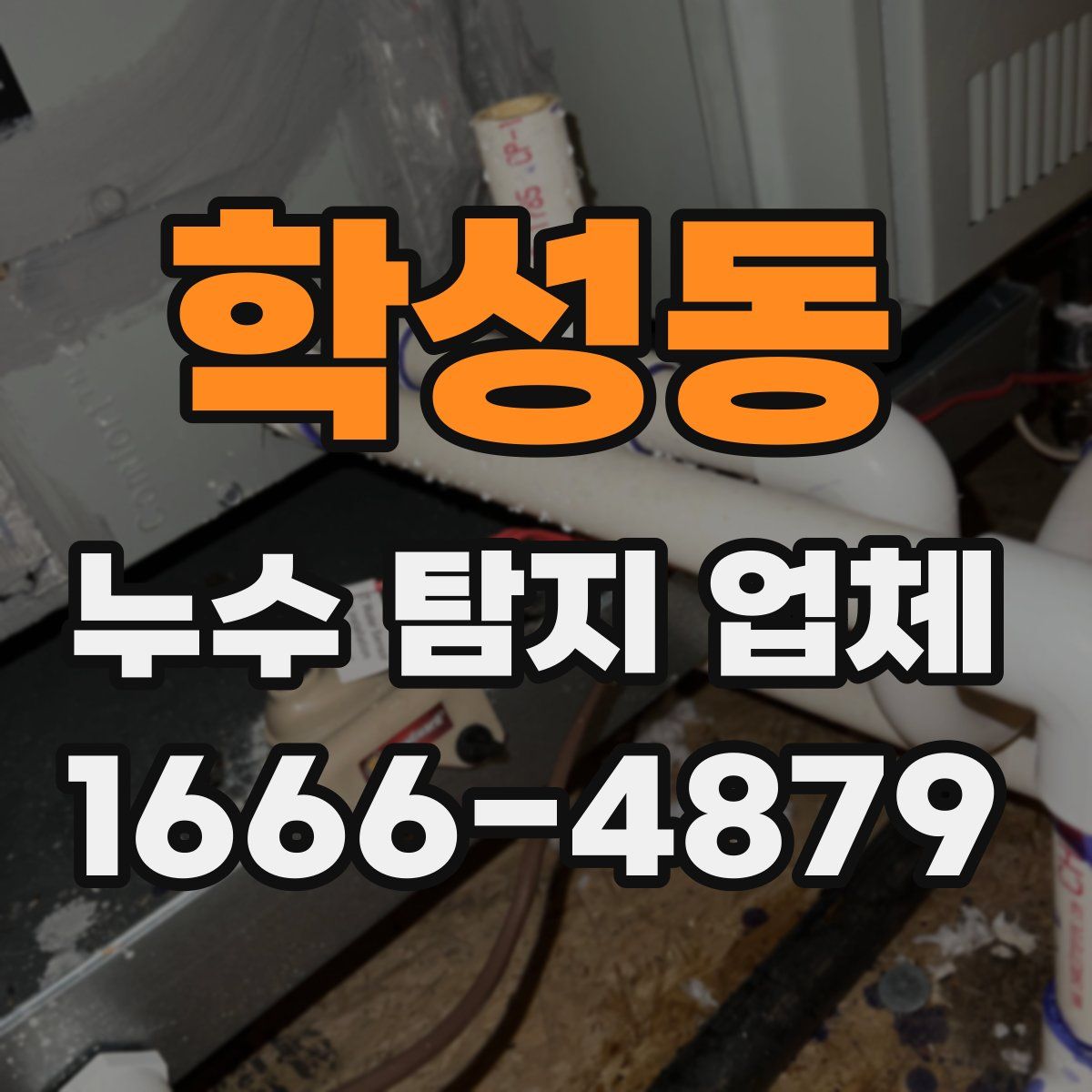 학성동 누수 탐지 업체
