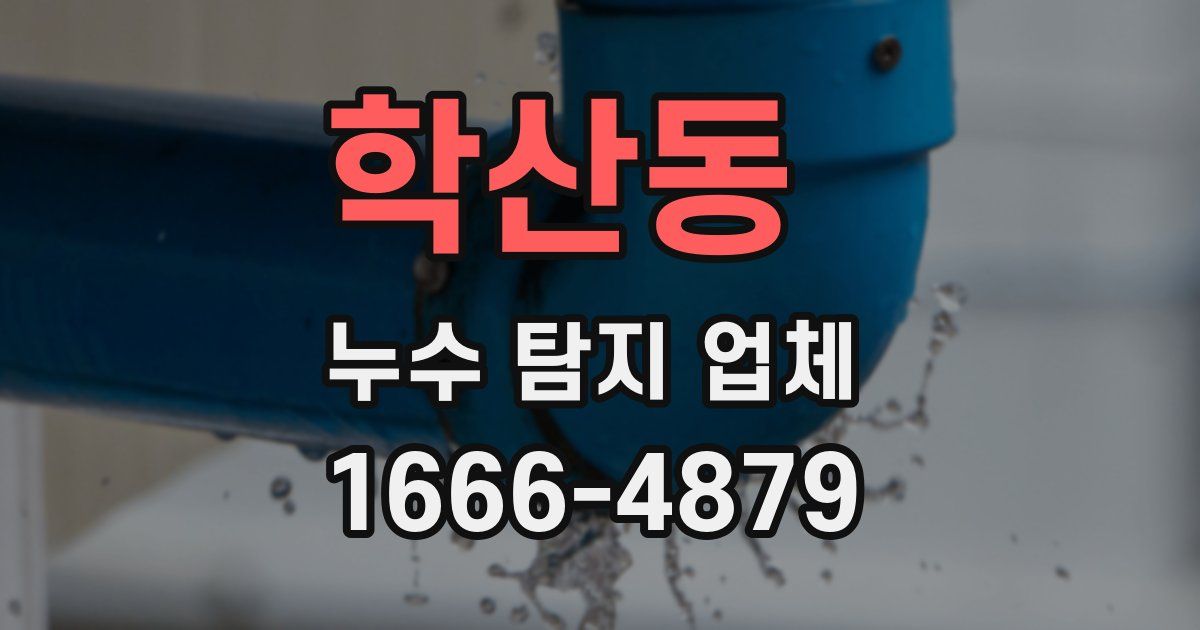 학산동 누수 탐지 업체