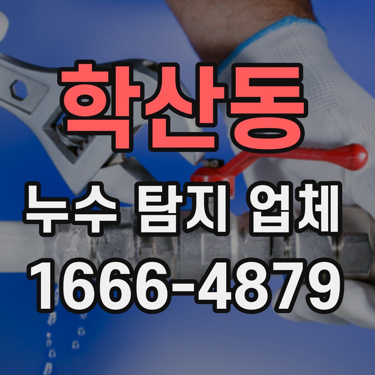 학산동 누수 탐지 업체