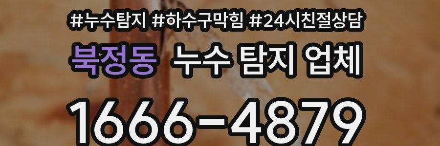 북정동 누수 탐지 업체