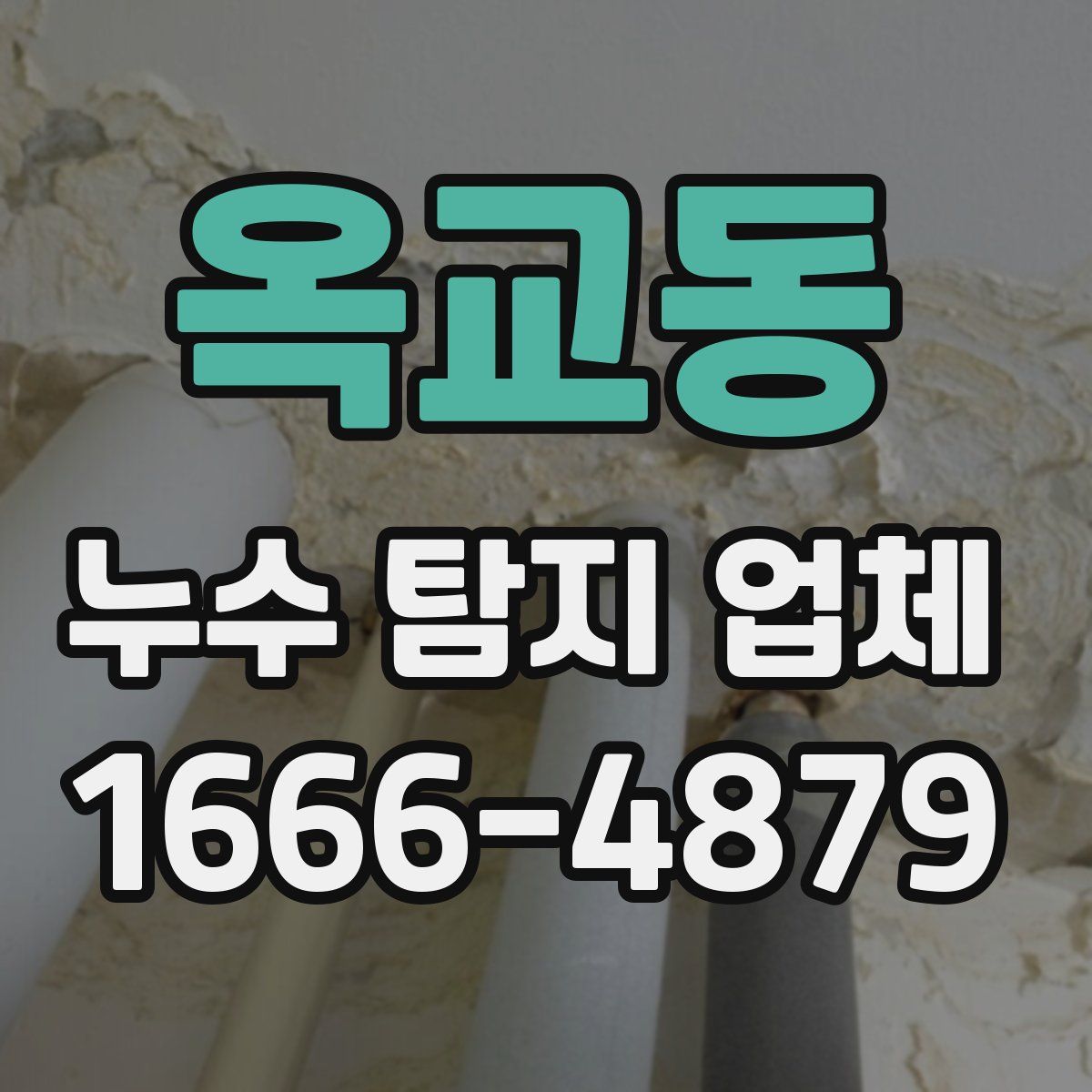 옥교동 누수 탐지 업체
