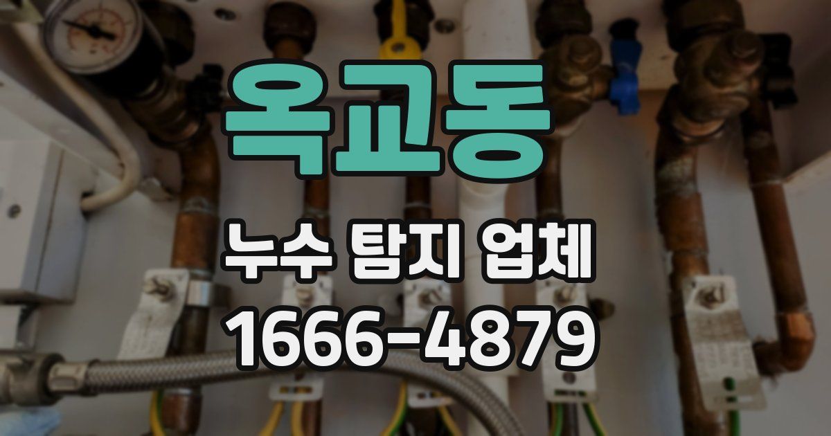 옥교동 누수 탐지 업체