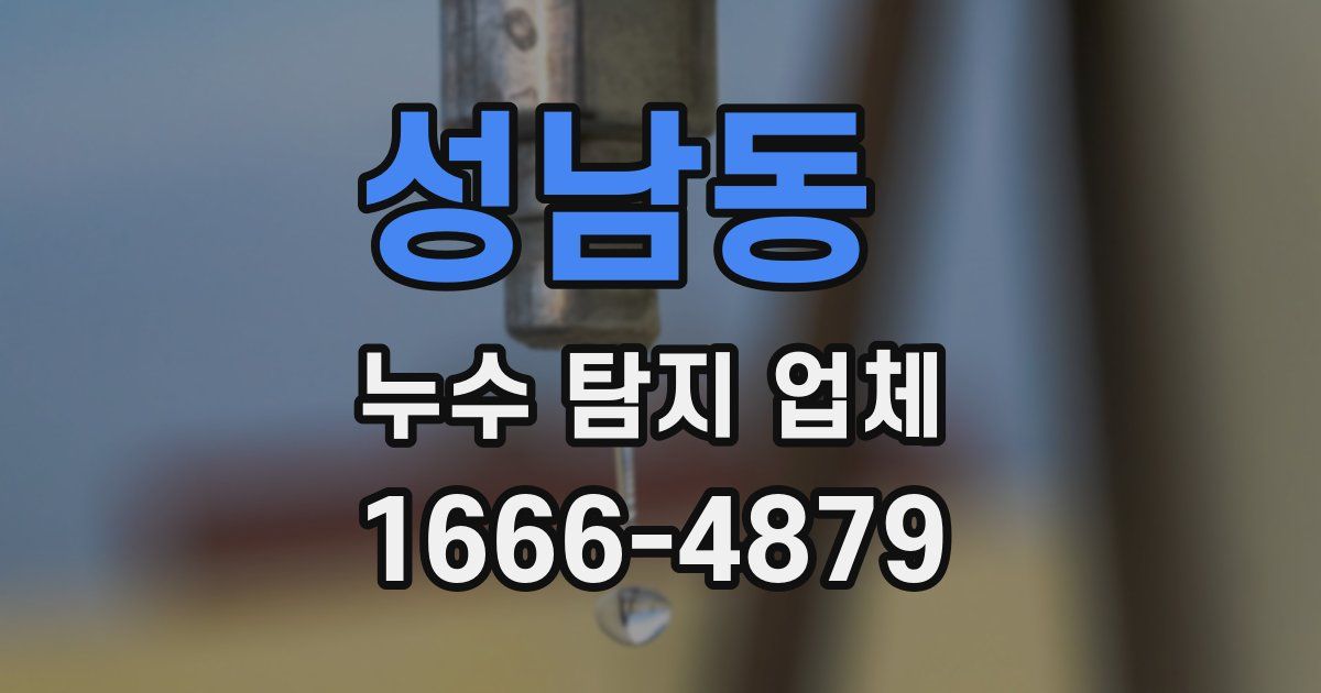 성남동 누수 탐지 업체