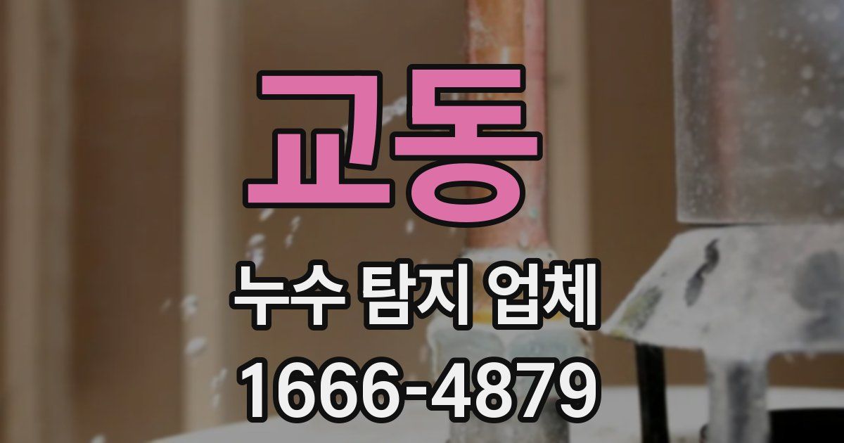 교동 누수 탐지 업체