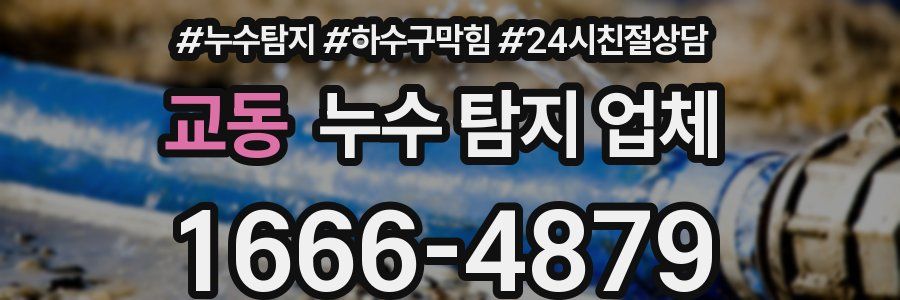 교동 누수 탐지 업체
