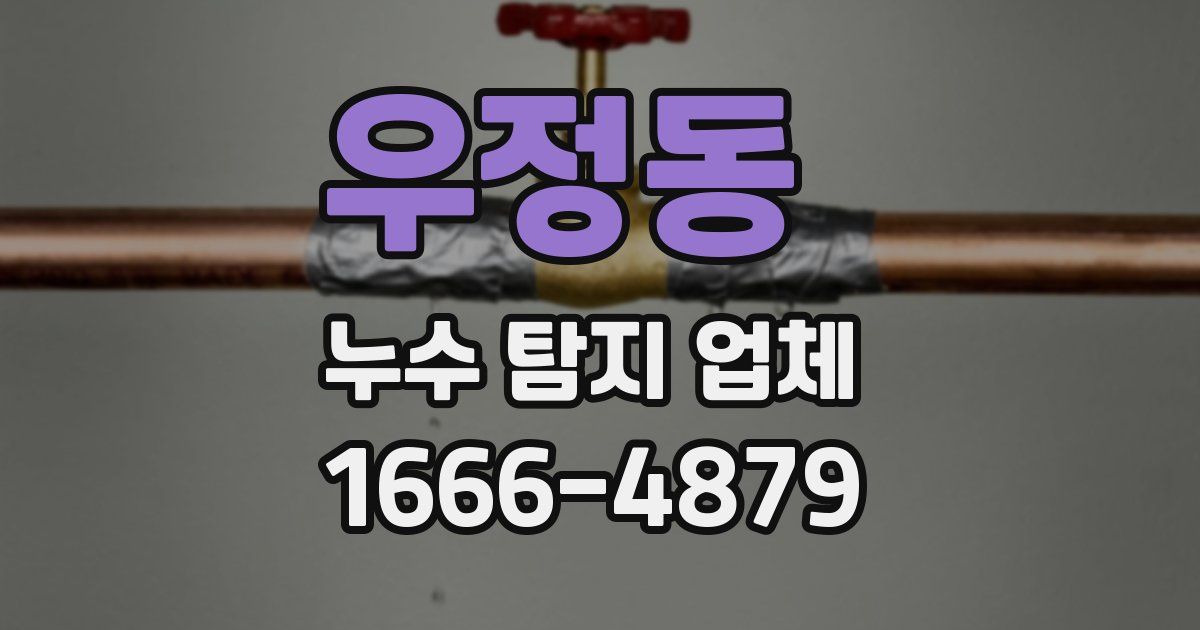 우정동 누수 탐지 업체