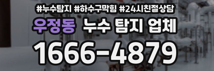 우정동 누수 탐지 업체