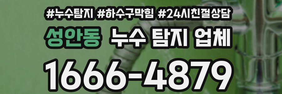 성안동 누수 탐지 업체