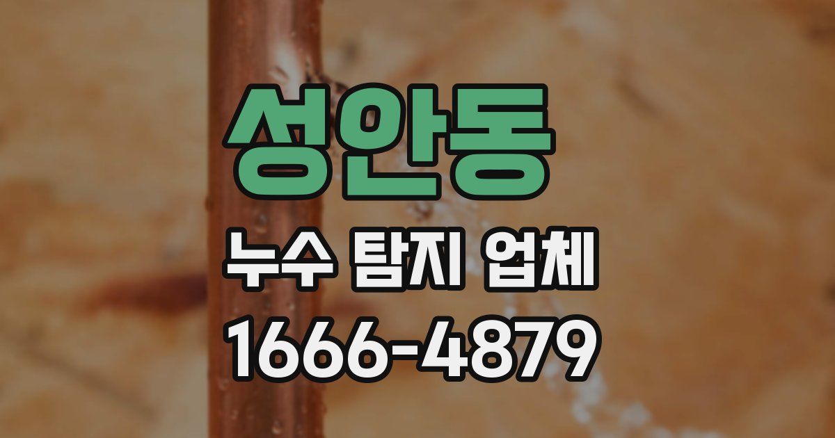 성안동 누수 탐지 업체