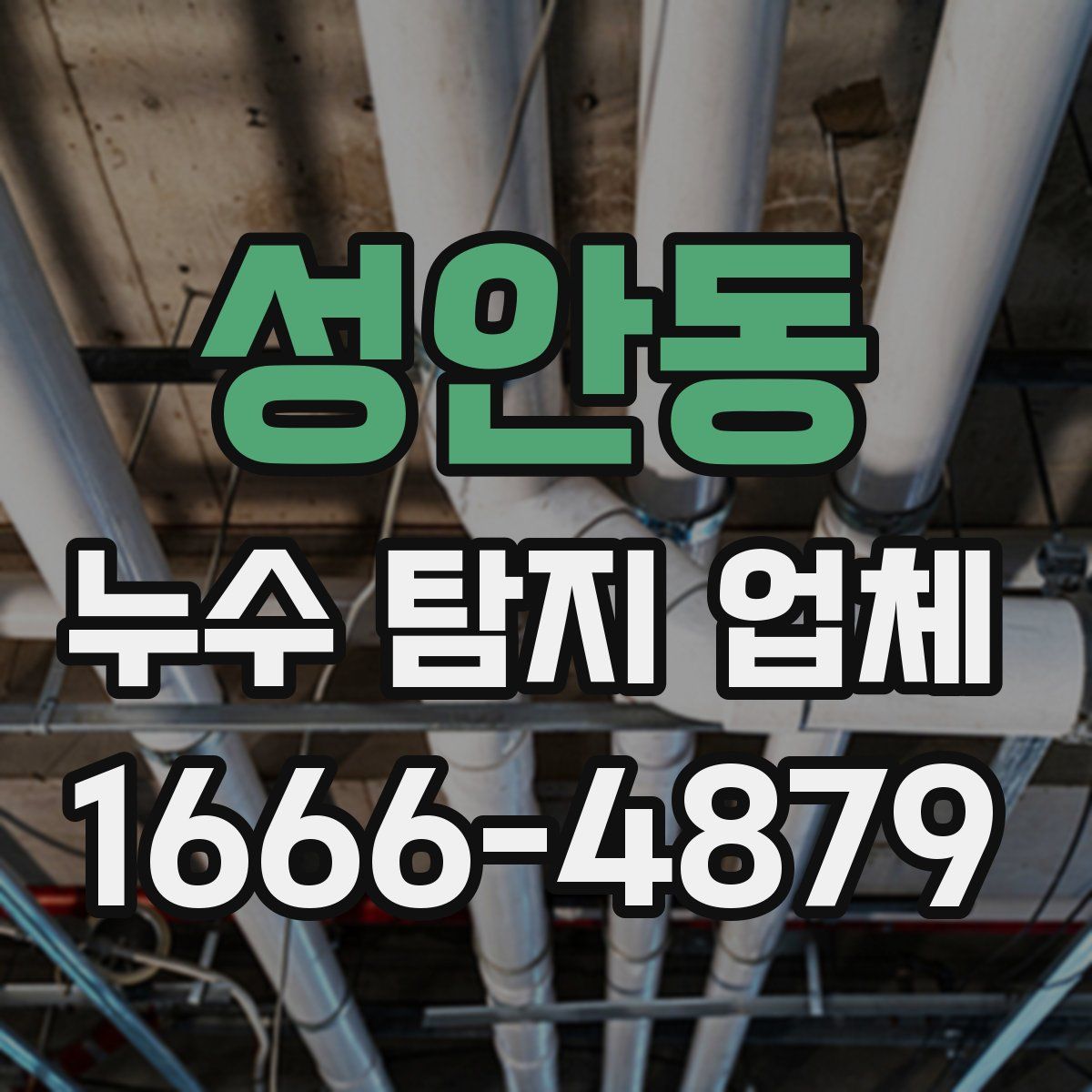 성안동 누수 탐지 업체