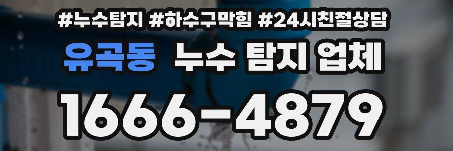 유곡동 누수 탐지 업체