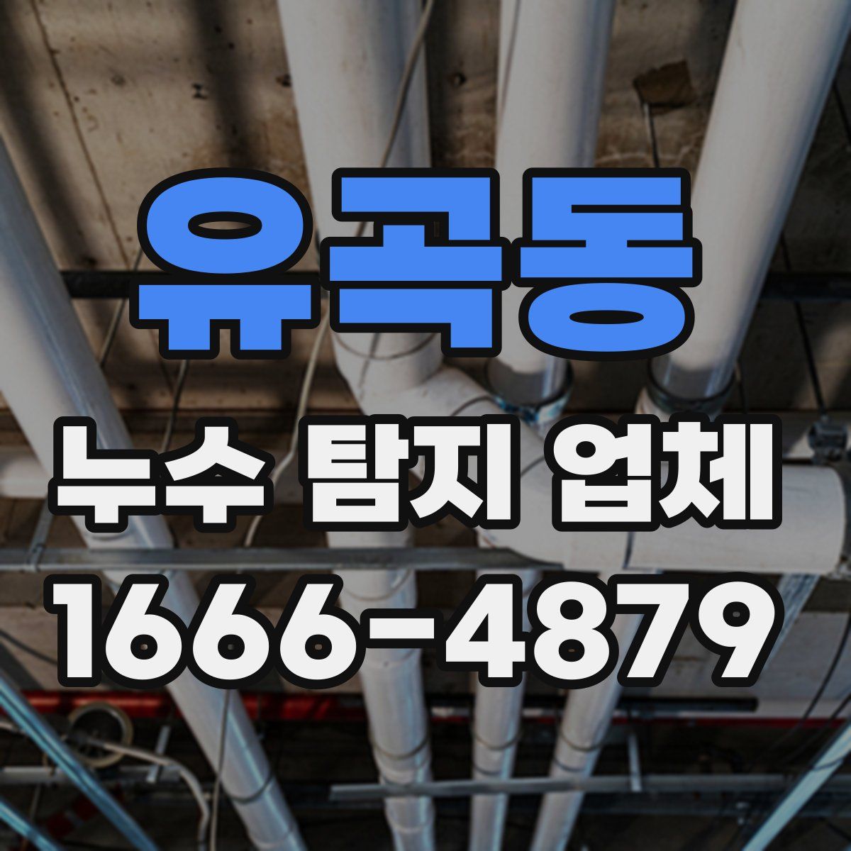 유곡동 누수 탐지 업체