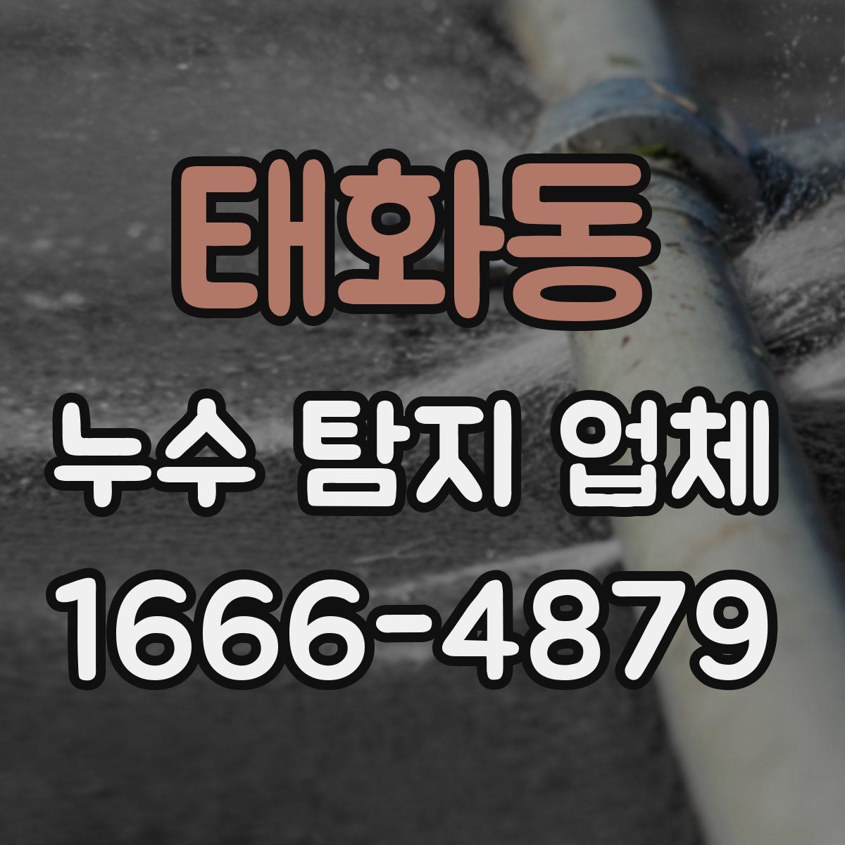 태화동 누수 탐지 업체