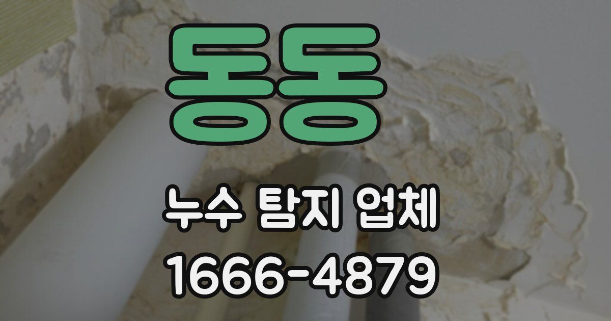 동동 누수 탐지 업체