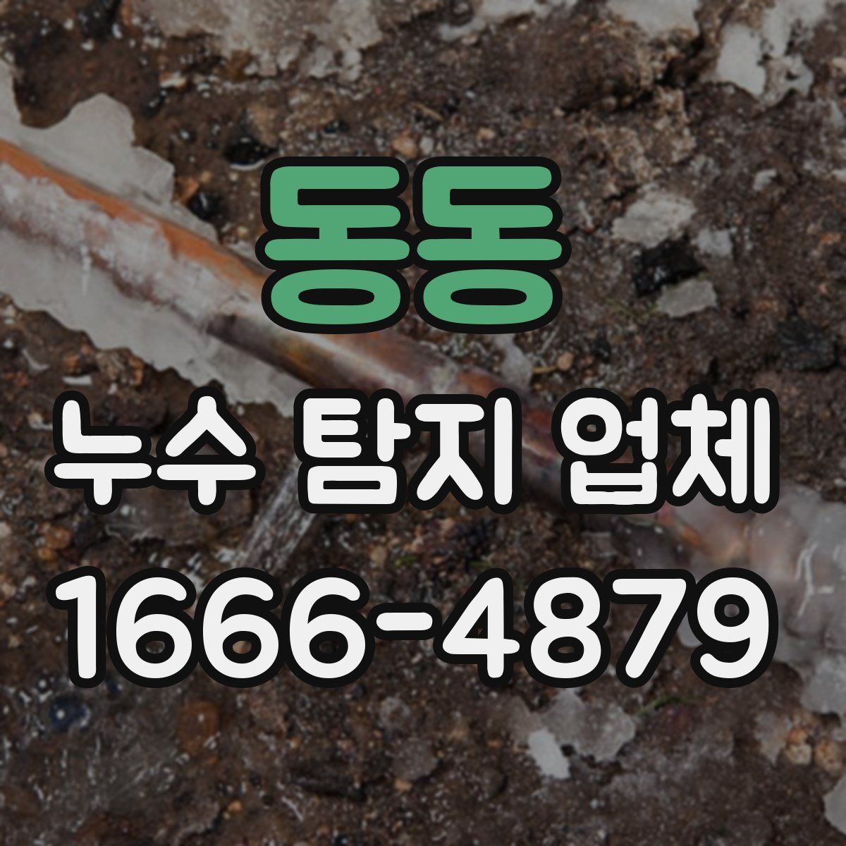 동동 누수 탐지 업체