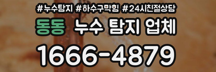 동동 누수 탐지 업체