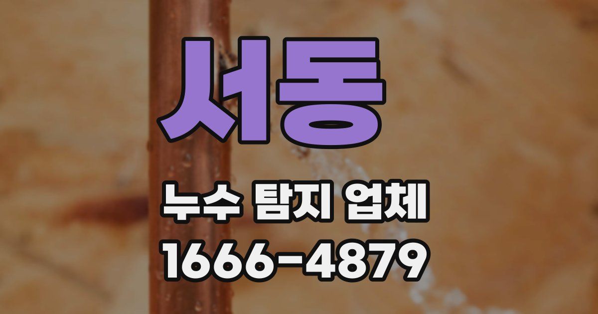 서동 누수 탐지 업체