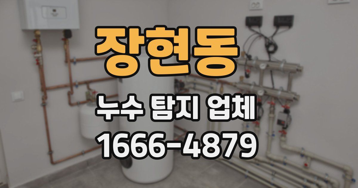 장현동 누수 탐지 업체