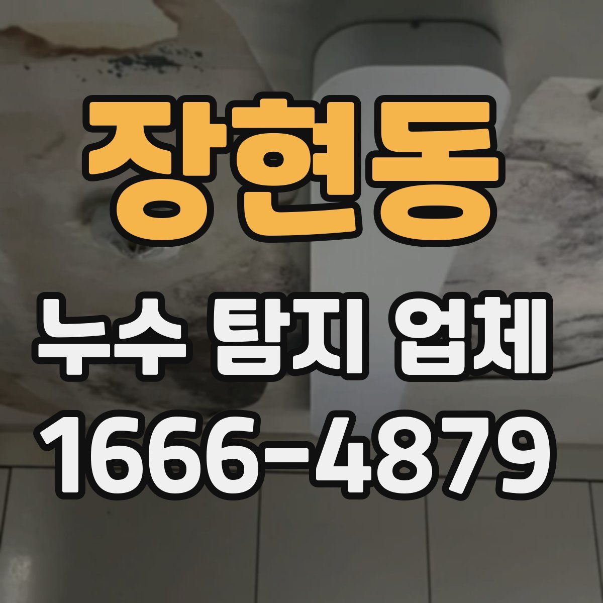 장현동 누수 탐지 업체