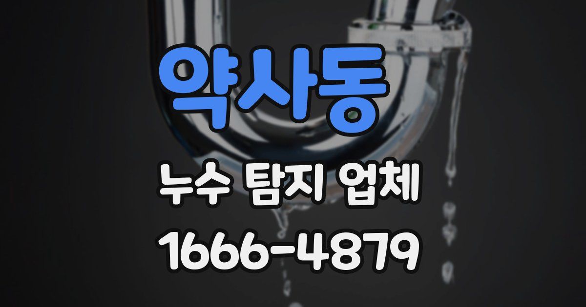 약사동 누수 탐지 업체