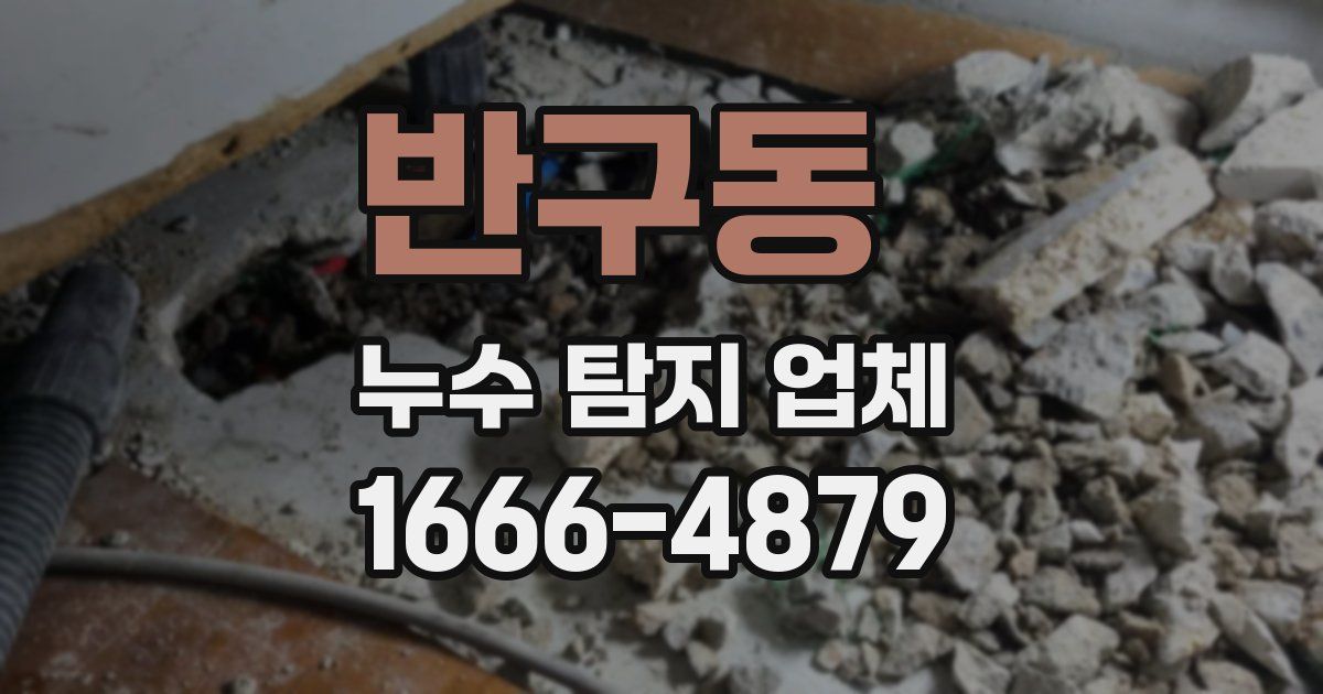 반구동 누수 탐지 업체