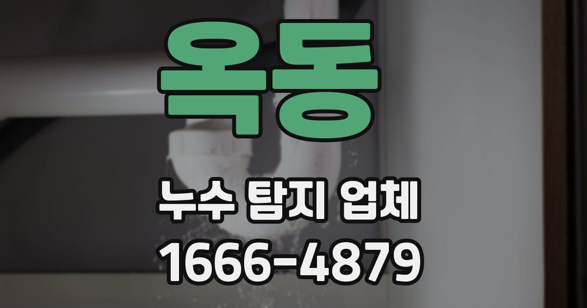 옥동 누수 탐지 업체