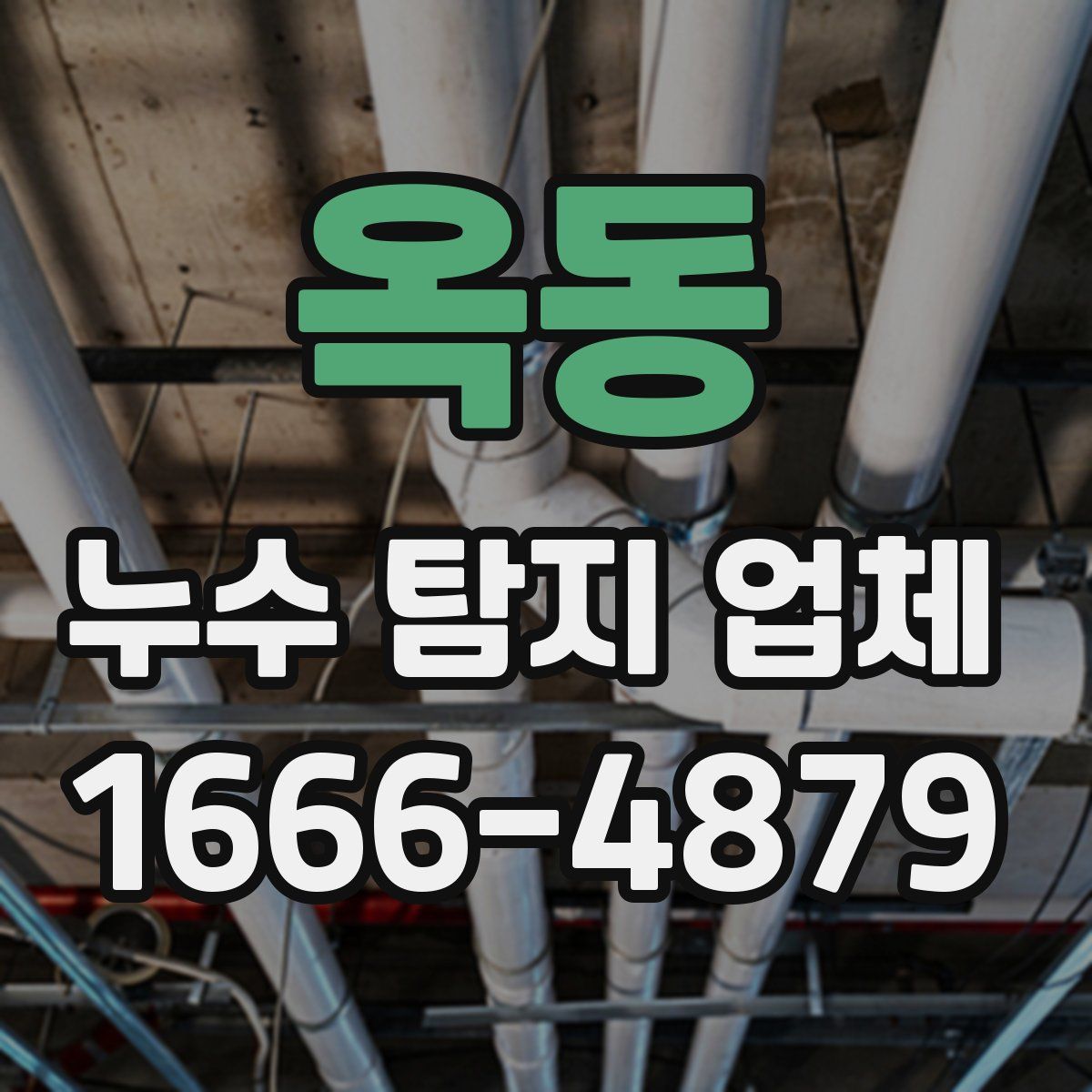 옥동 누수 탐지 업체