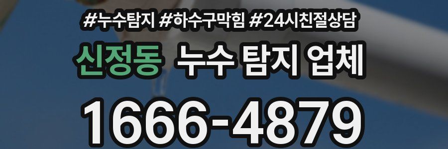 신정동 누수 탐지 업체