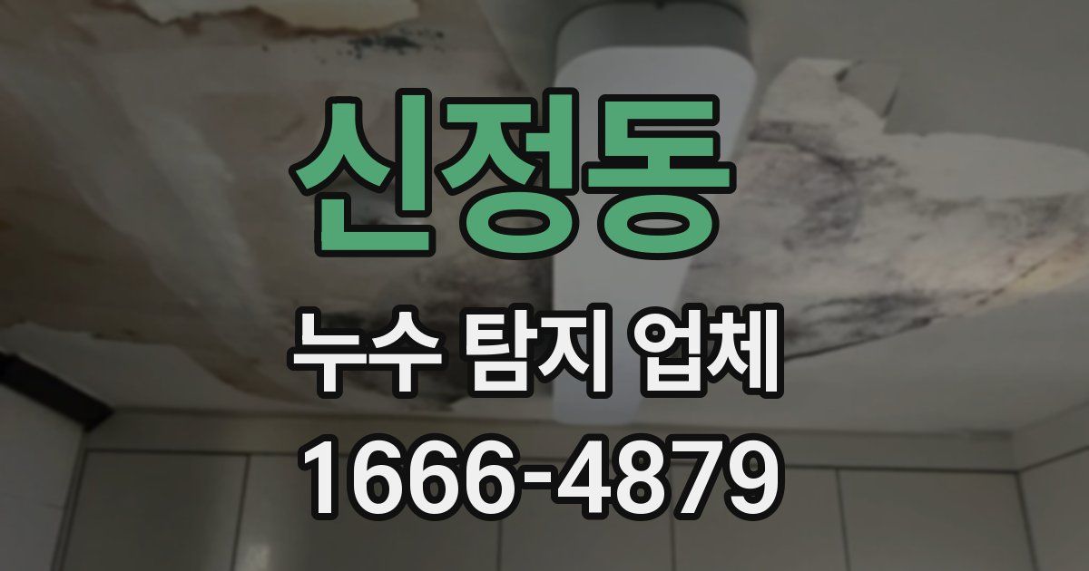 신정동 누수 탐지 업체