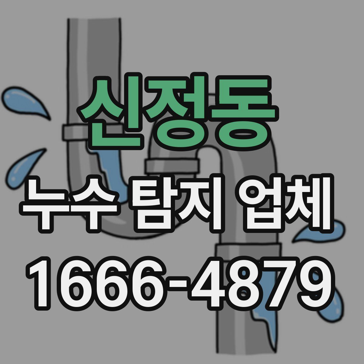 신정동 누수 탐지 업체