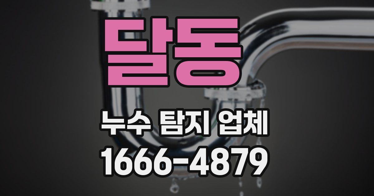 달동 누수 탐지 업체