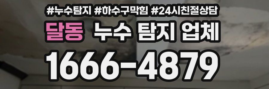 달동 누수 탐지 업체