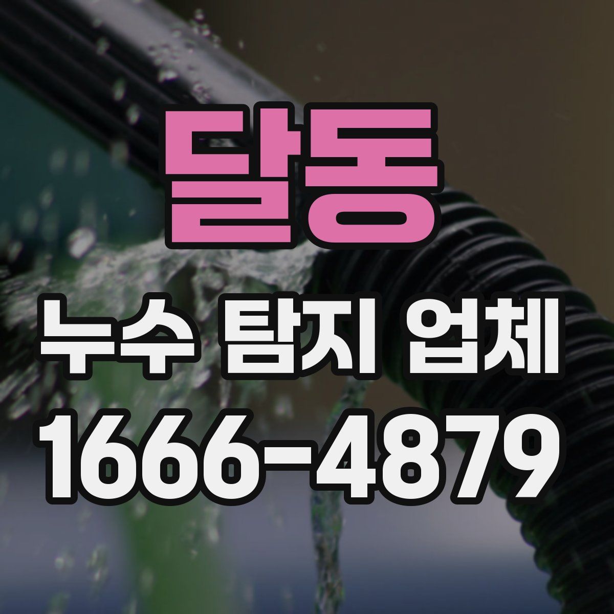 달동 누수 탐지 업체