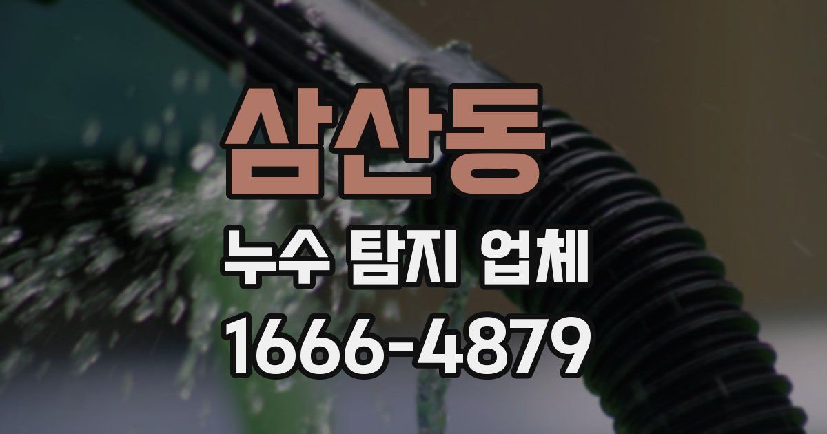 삼산동 누수 탐지 업체