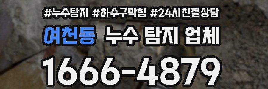 여천동 누수 탐지 업체