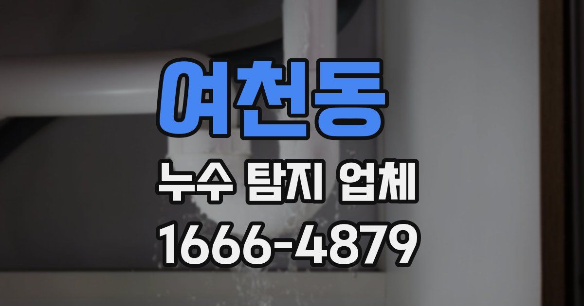 여천동 누수 탐지 업체
