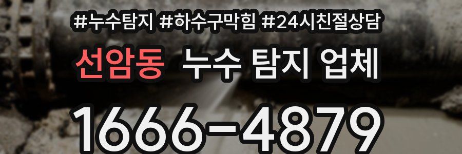 선암동 누수 탐지 업체