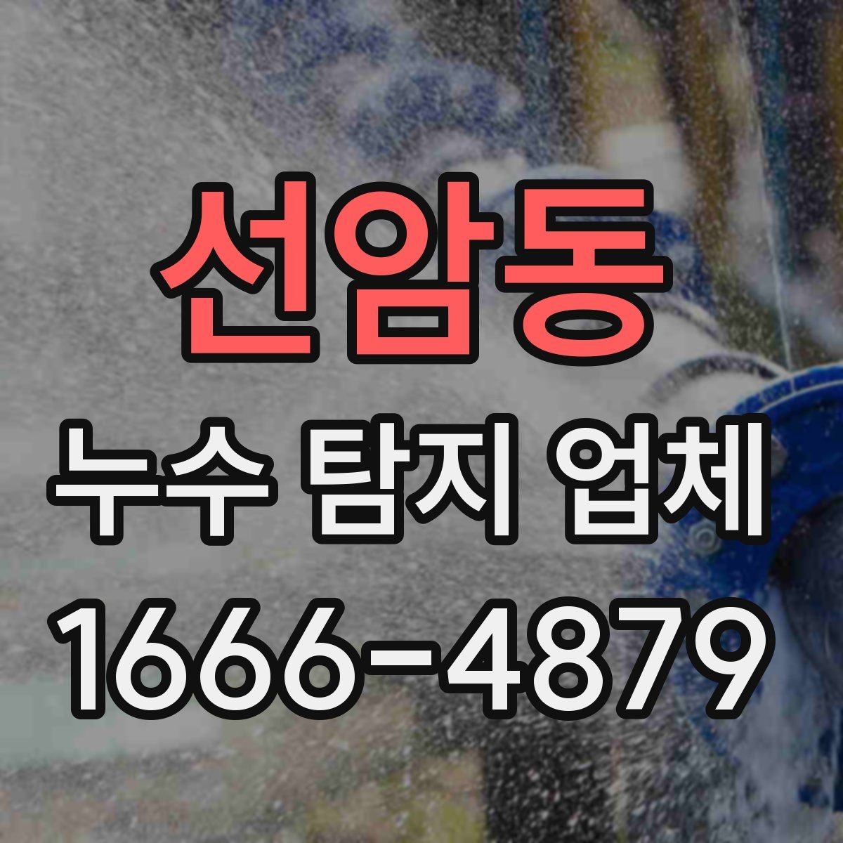 선암동 누수 탐지 업체