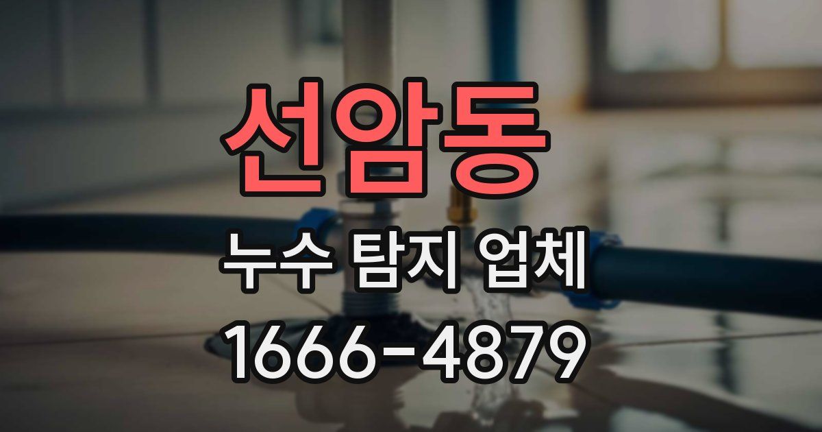 선암동 누수 탐지 업체