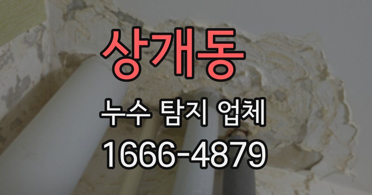 상개동 누수 탐지 업체