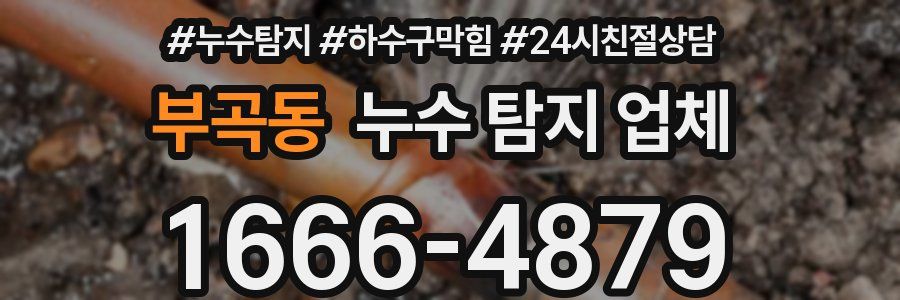 부곡동 누수 탐지 업체