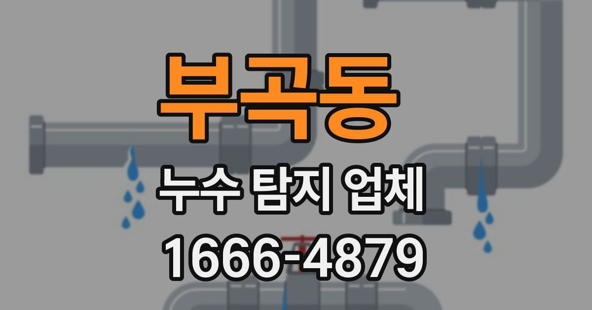 부곡동 누수 탐지 업체