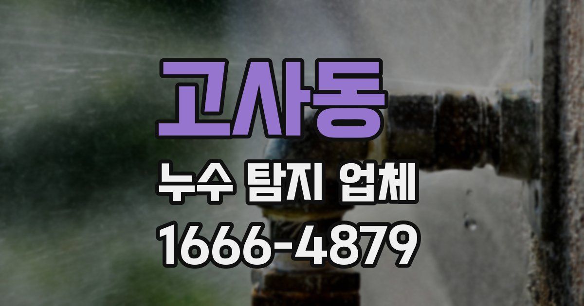 고사동 누수 탐지 업체