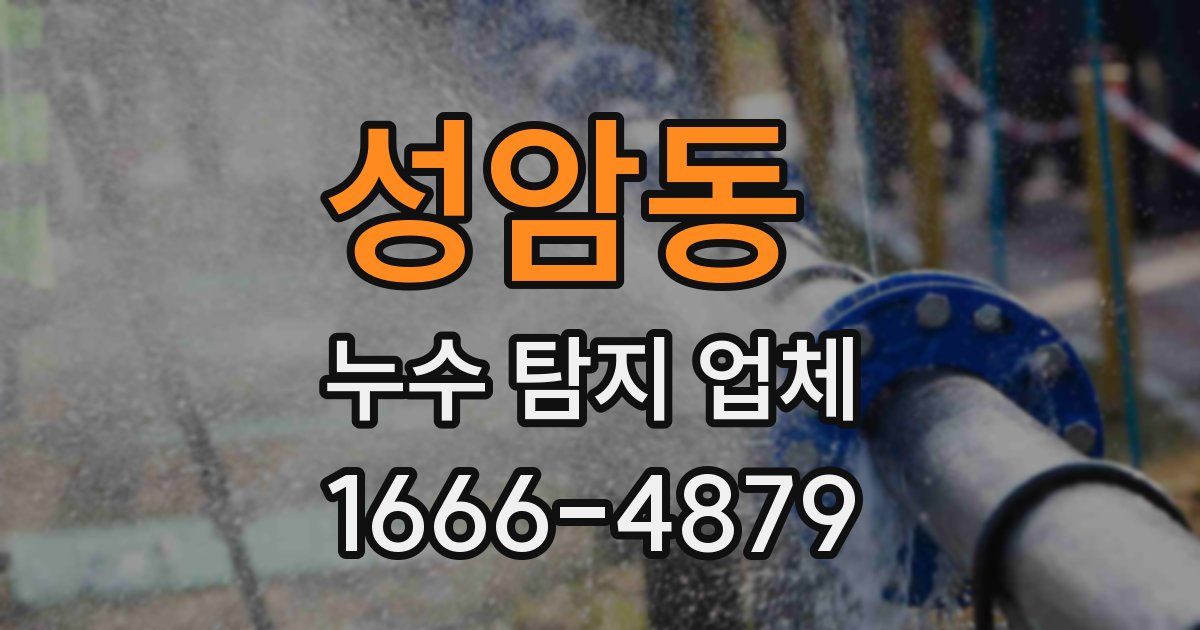 성암동 누수 탐지 업체