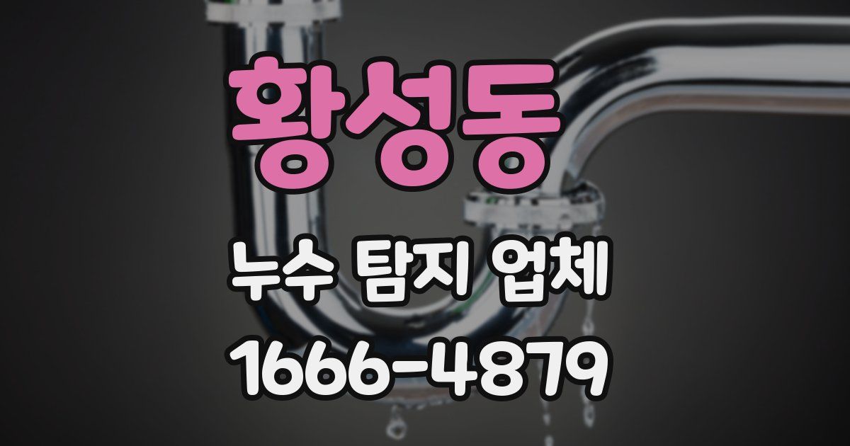 황성동 누수 탐지 업체