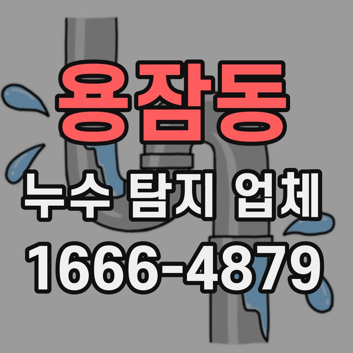 용잠동 누수 탐지 업체