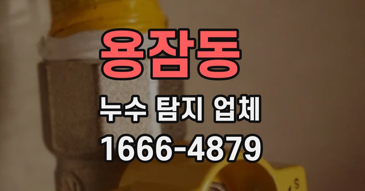 용잠동 누수 탐지 업체