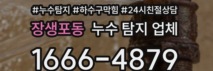 장생포동 누수 탐지 업체