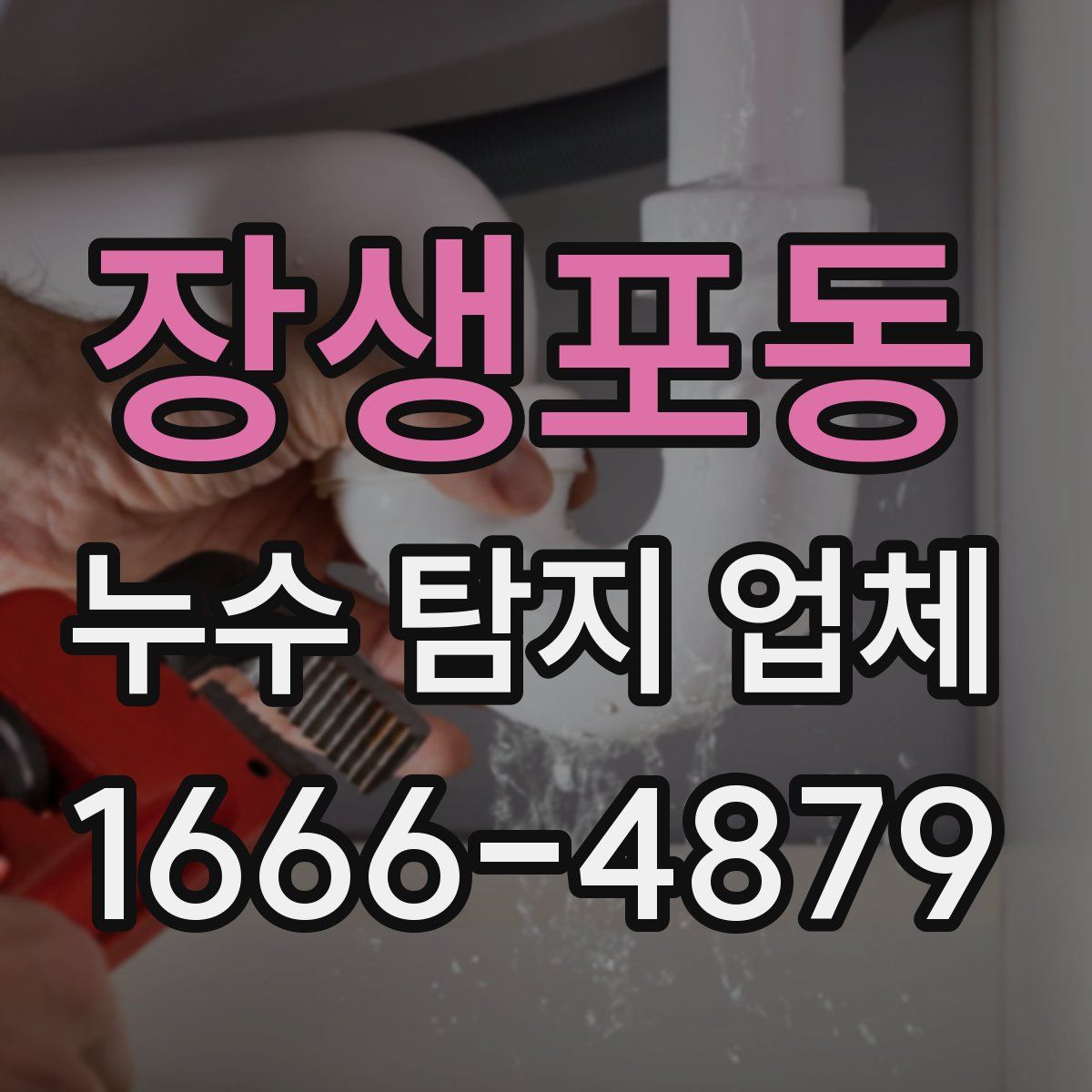 장생포동 누수 탐지 업체
