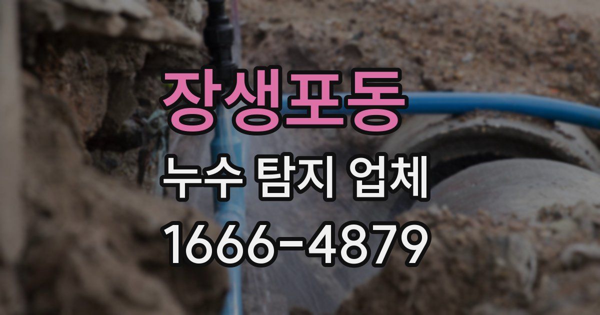 장생포동 누수 탐지 업체
